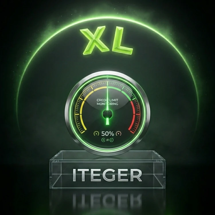 xl_kontrahent_limity.png
