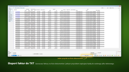 esklep_eksport_faktur_txt.png